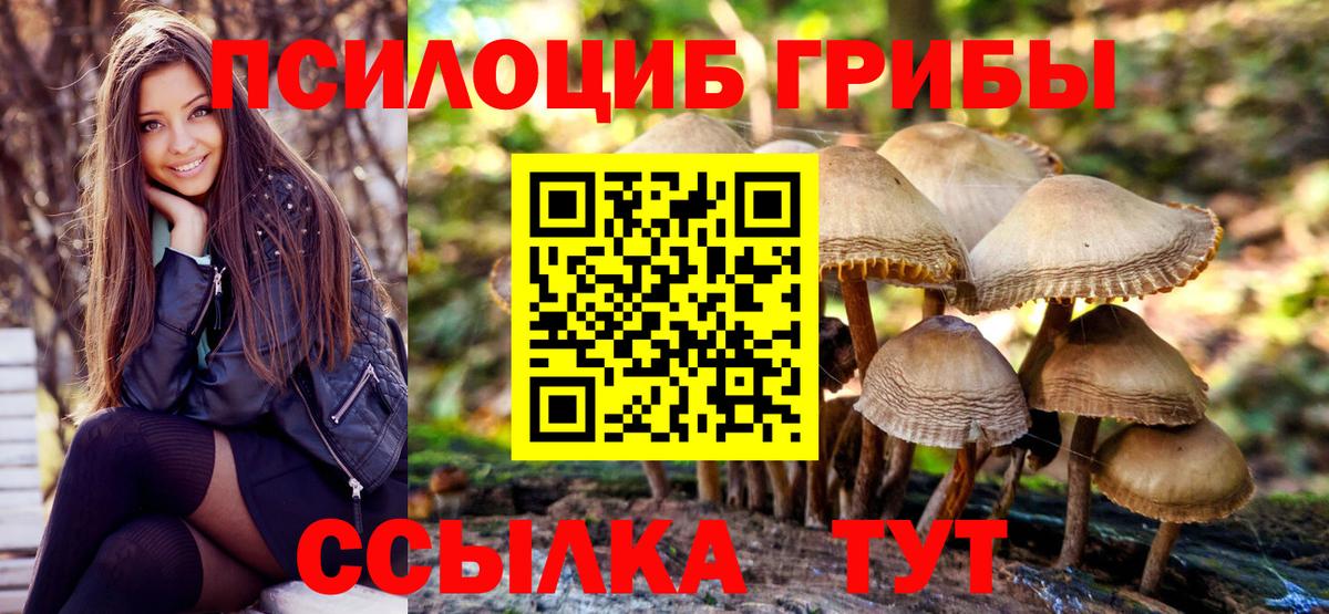 Псилоцибиновые грибы прущие грибы  Псилоцибиновые грибы мухоморы  Дедовск  Вход с VPN 